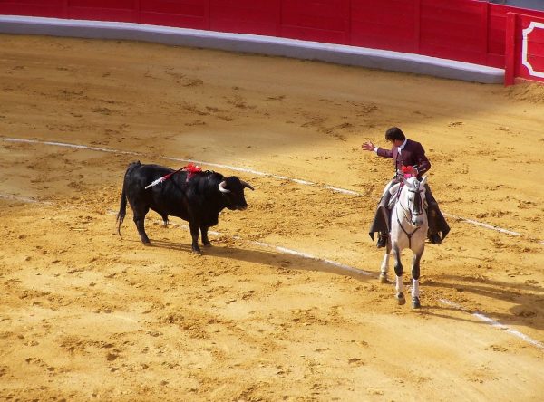 Mexique : La ville de Mexico interdit les corridas avec mise à mort des taureaux  - Animaux Bien-être animal Corridas Mexique