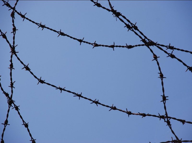 Les camps de concentration, de l’Algérie à Gaza  - Camps de concentration Colonialisme Colonisation Histoire Israël