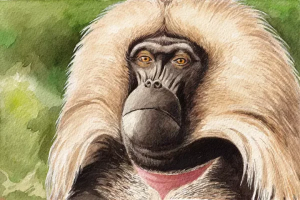 Singes empathiques, papillons astronomes... Ces animaux géniaux à découvrir 
