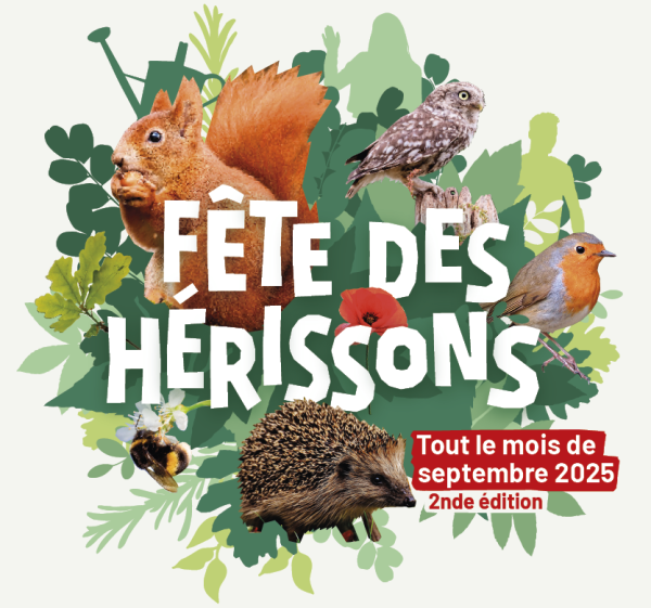 Fête des Hérissons : 1001 manières de s'engager pour la nature  - Biodiversité France Nature Environnement Hérissons