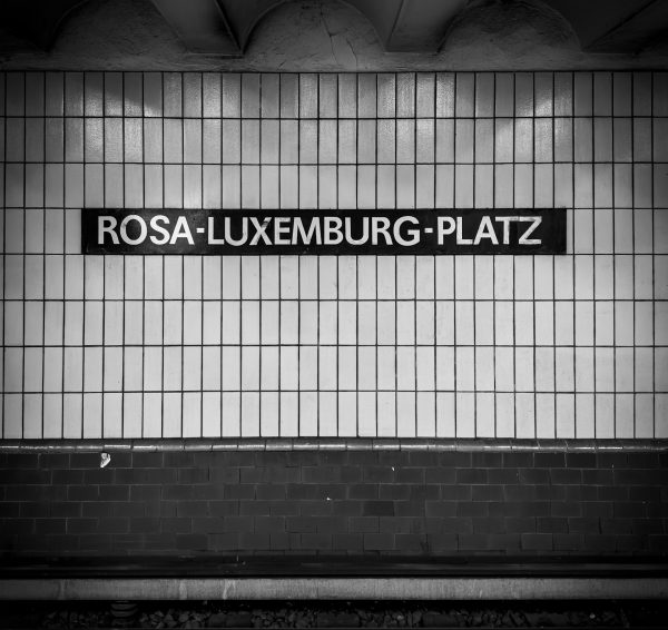 Rosa Luxemburg (1871-1919), une critique marxiste de la course à l’armement  - Allemagne Capitalisme Marxisme Rosa Luxemburg