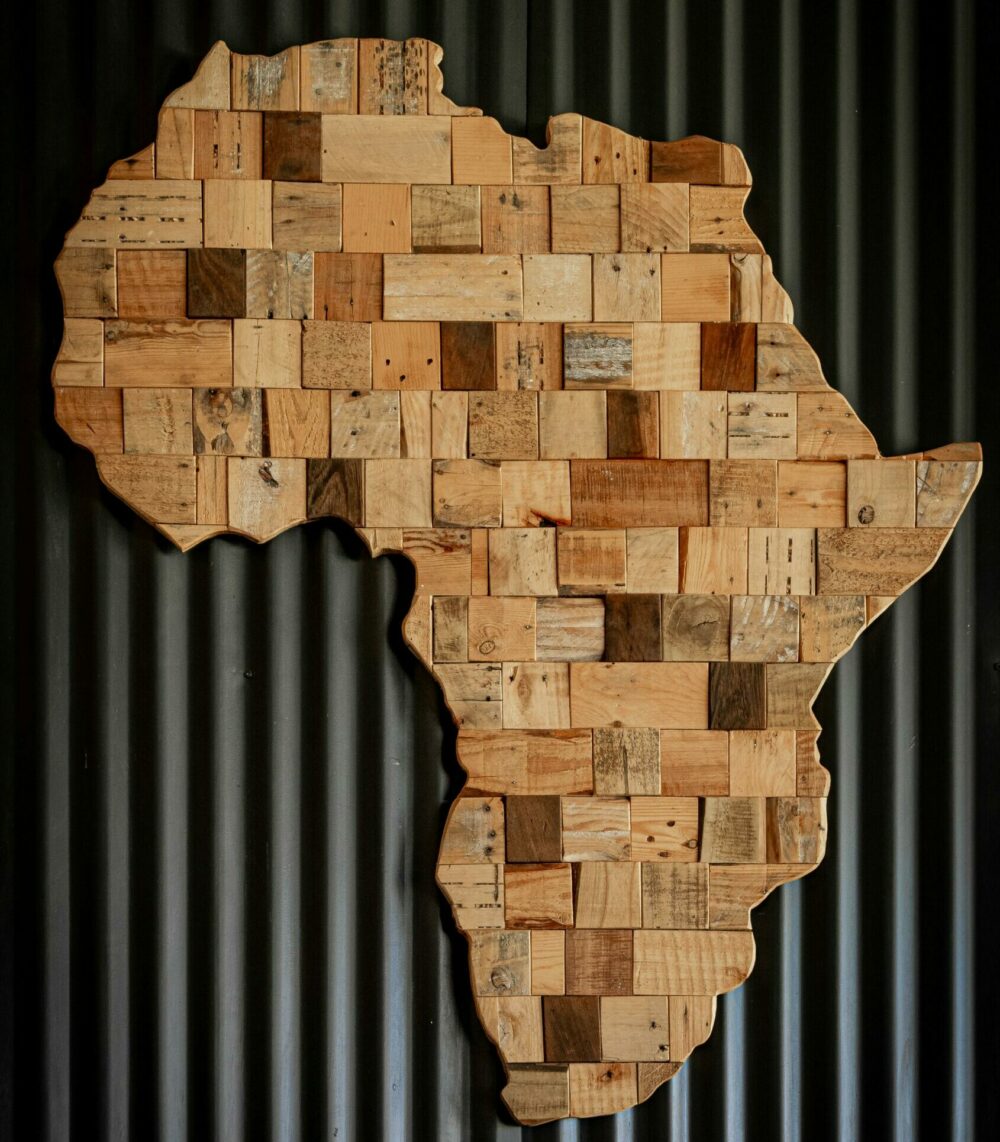 L'Afrique pillée  - Afrique Colonisation