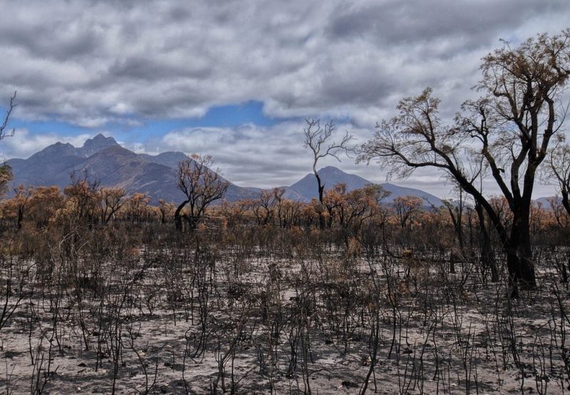 Après les flammes, la solidarité paysanne s’organise dans l’Aude  - Agriculture Aude Entraide Incendies