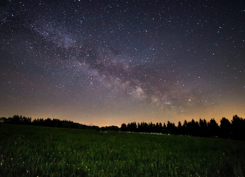 Des papillons de nuit voyagent grâce aux étoiles  - Australie Bogong Découverte scientifique Papillons Recherche scientifique Sciences