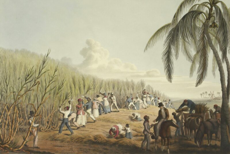Qu’est-ce que le colonialisme ?  - Colonialisme Colonisation Histoire