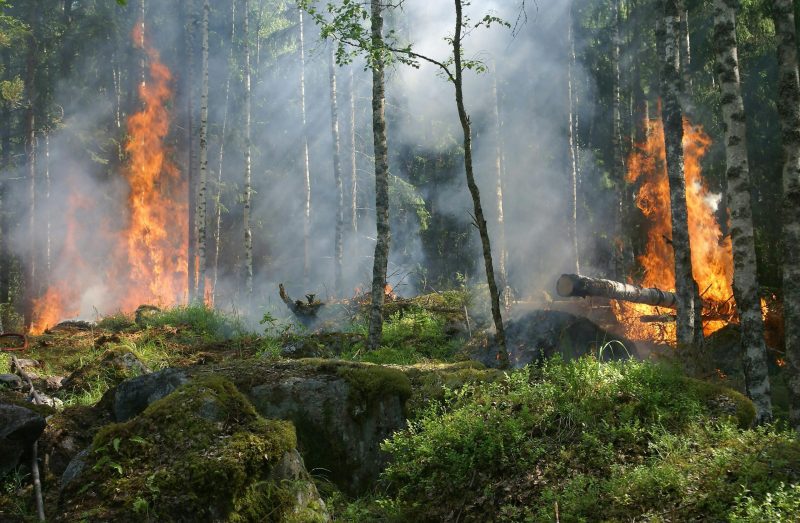 L'avenir est-il assurable ?  - Assurances Climat Dérèglement climatique