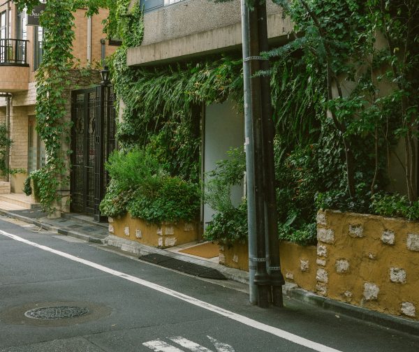 Dans les villes, comment les citoyens organisent la lutte contre la surchauffe  - Dérèglement climatique Villes