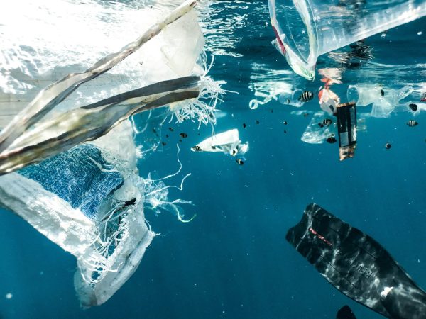 Traité contre la pollution plastique : « Les pays pétroliers ont saboté les négociations »  - Association Surfrider Genève Microplastiques Plastiques Pollution