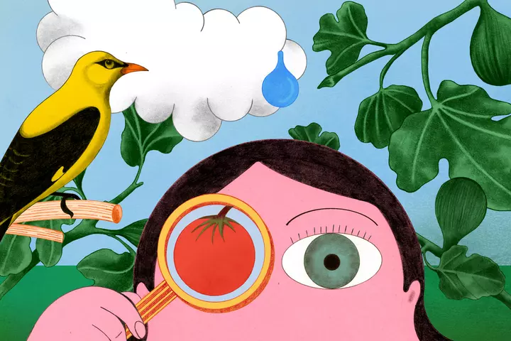 « Le jardin, là où les sens s’affinent »  - Agriculture Marie Astier Potager