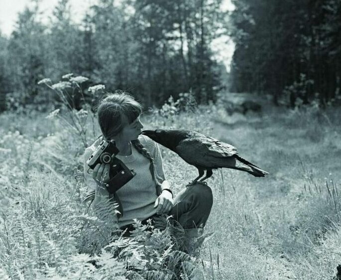 La biologiste Simona Kossak a vécu plus de 30 ans dans la forêt entourée d’animaux  - Animaux Biologie Lech Wilczek Nature Pologne Recherche scientifique Simona Kossak