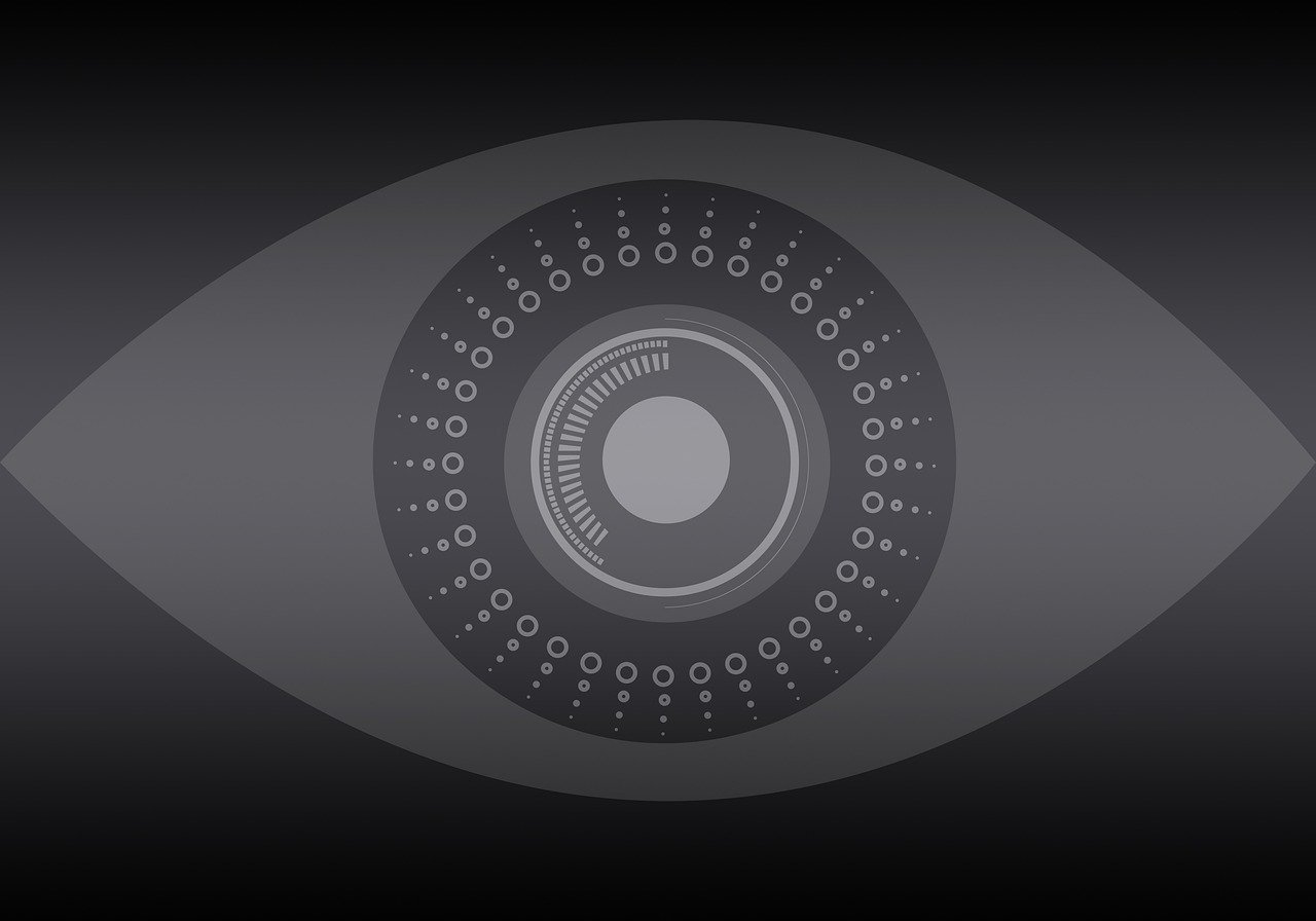 États-Unis : Amnesty dénonce l’utilisation de logiciels de surveillance des étrangers  - Amnesty International Babel Street États-Unis Palantir