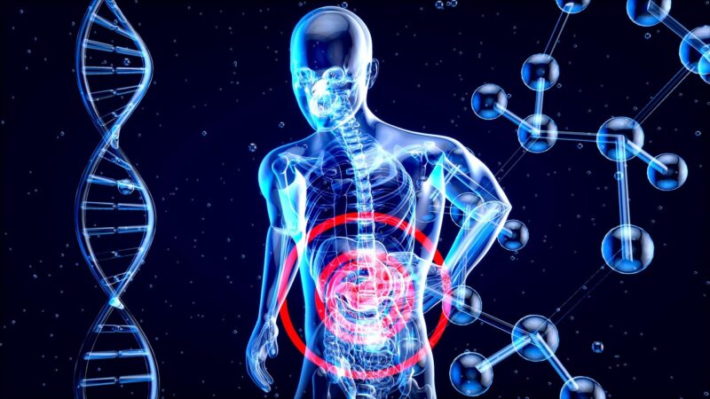 Les médicaments que vous avez pris il y a des années impactent encore votre intestin  - Benzodiazépines Biologie Découverte scientifique Intestin Médicaments Microbiote intestinal Santé Science Sciences