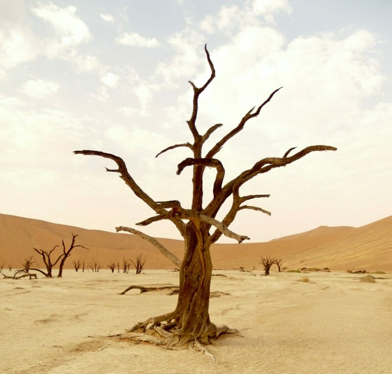 Les catastrophes climatiques de l’été coûtent des milliards à l’économie européenne  - Changement climatique Climat Économie Europe