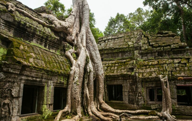 La longue alliance secrète entre l’Oncle Sam et le génocidaire Pol Pot  - Cambodge États-Unis Génocide Pol Pot