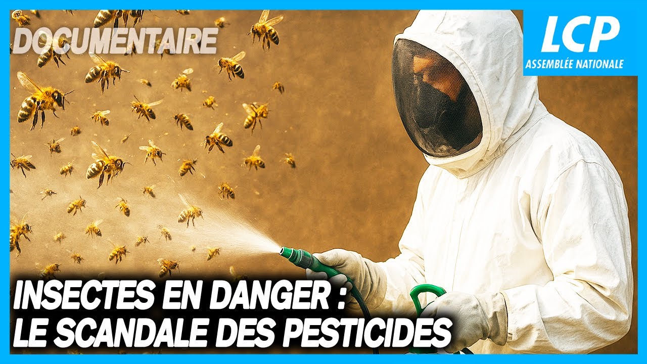 Insecticide, comment l'agrochimie a tué les insectes | Docu LCP  - Agrochimie Biodiversité Insecticides Néonicotinoïdes Pesticides Produits phytopharmaceutiques Produits phytosanitaires